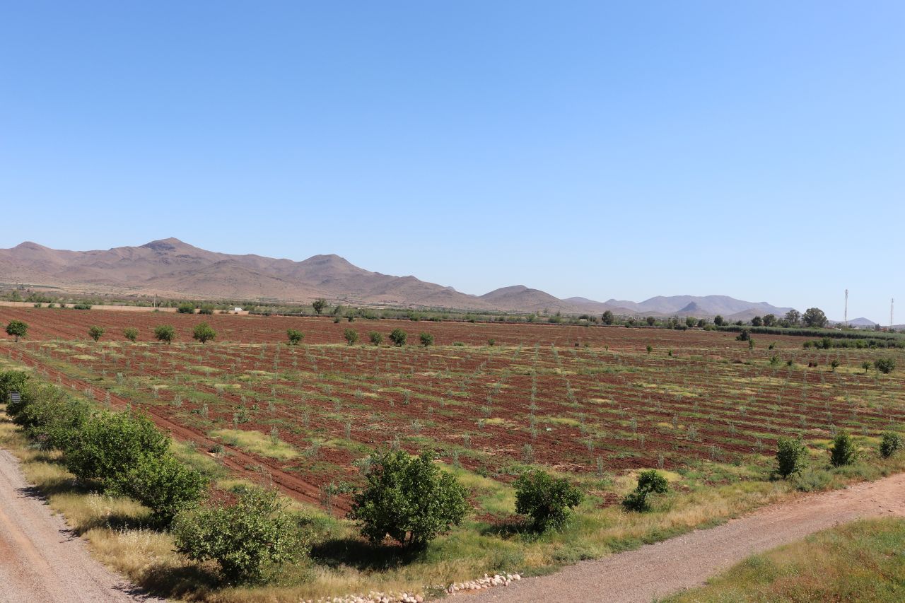 IMG_0578_Morocco irrigation